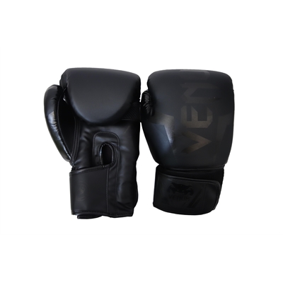 BOXING GLOVES PROFESSIONAL