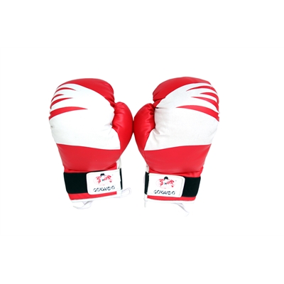 BOXING GLOVES ECONOMY